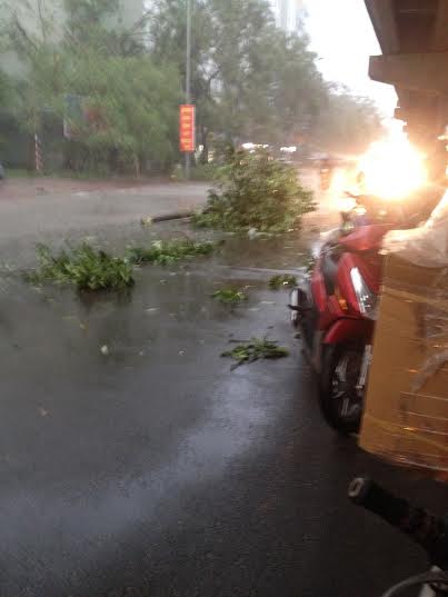 [-]Hà[-]Nội:[-]Mưa[-]lớn[-]khiến[-]cây[-]cối[-]bật[-]gốc,[-]nước[-]ngập[-]đường